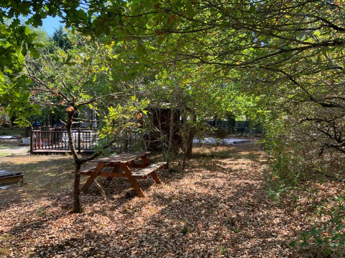 Domaine De Labelo Bed and Breakfast Commensacq Εξωτερικό φωτογραφία