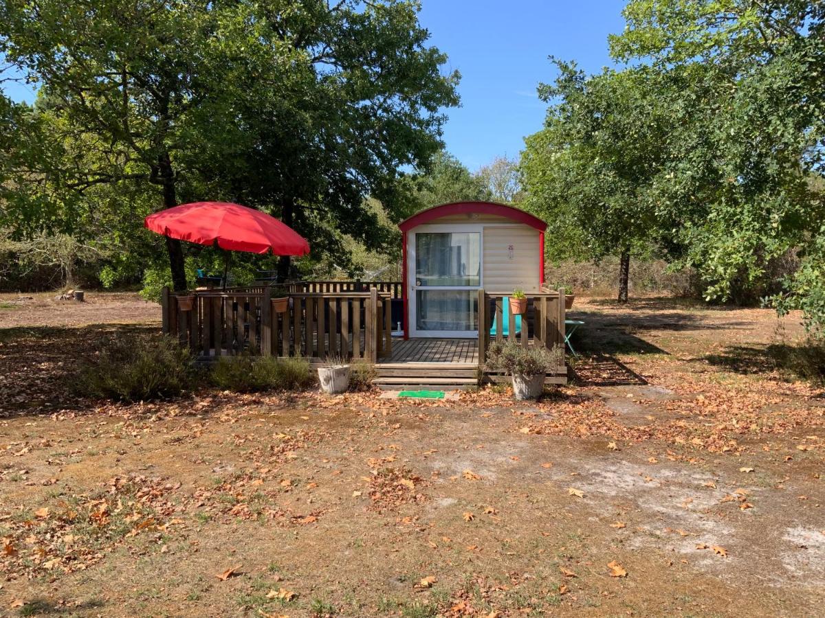 Domaine De Labelo Bed and Breakfast Commensacq Εξωτερικό φωτογραφία