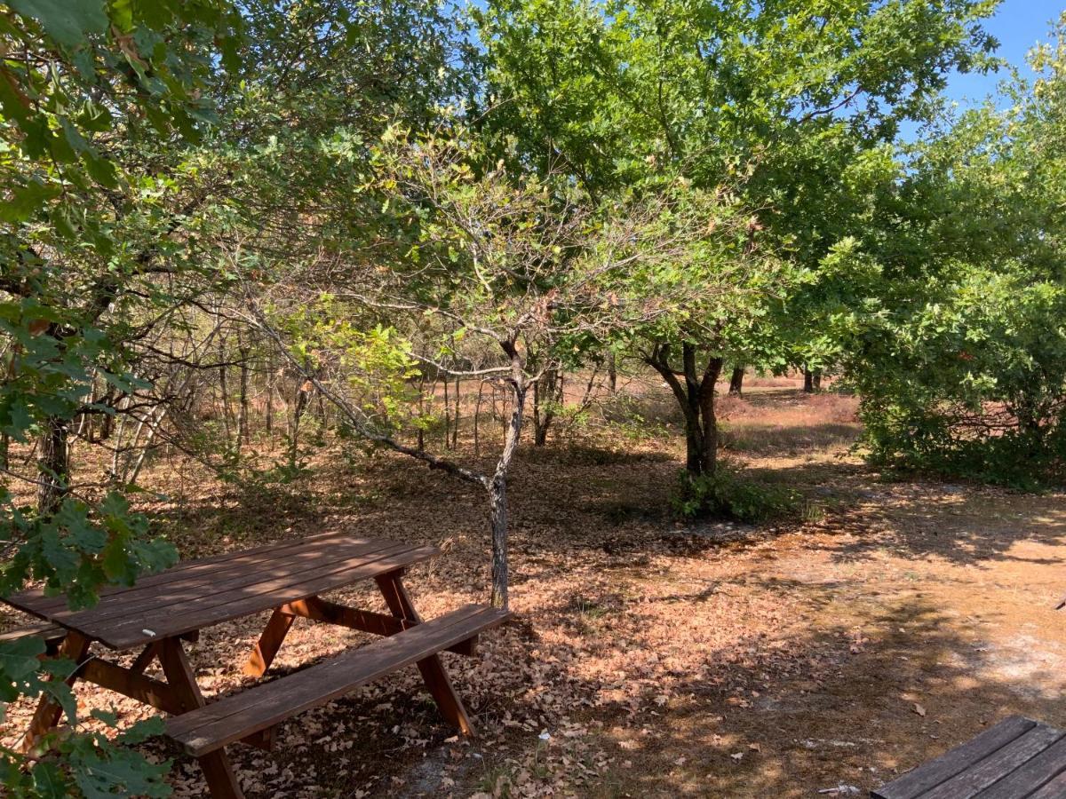 Domaine De Labelo Bed and Breakfast Commensacq Εξωτερικό φωτογραφία