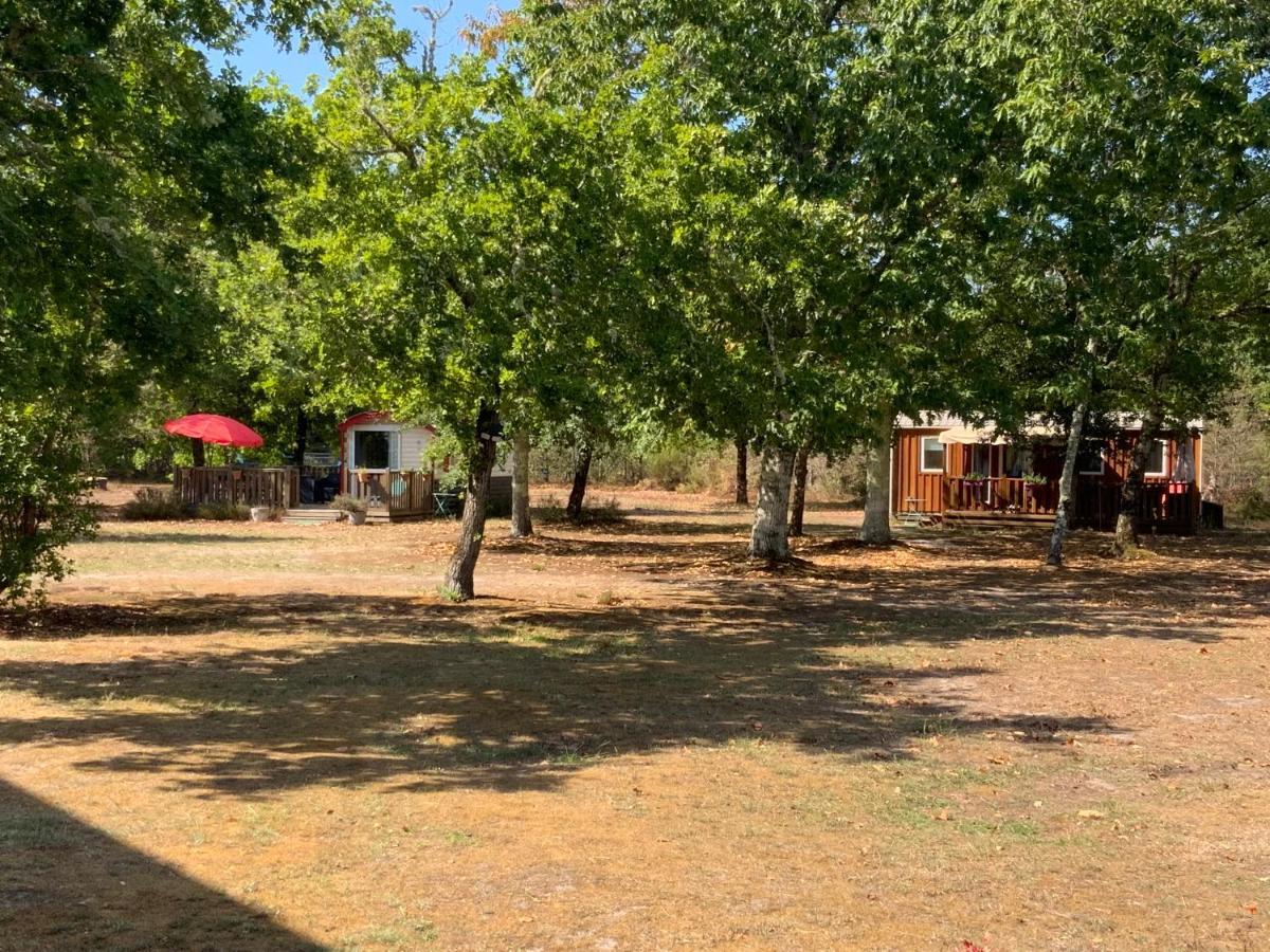 Domaine De Labelo Bed and Breakfast Commensacq Εξωτερικό φωτογραφία
